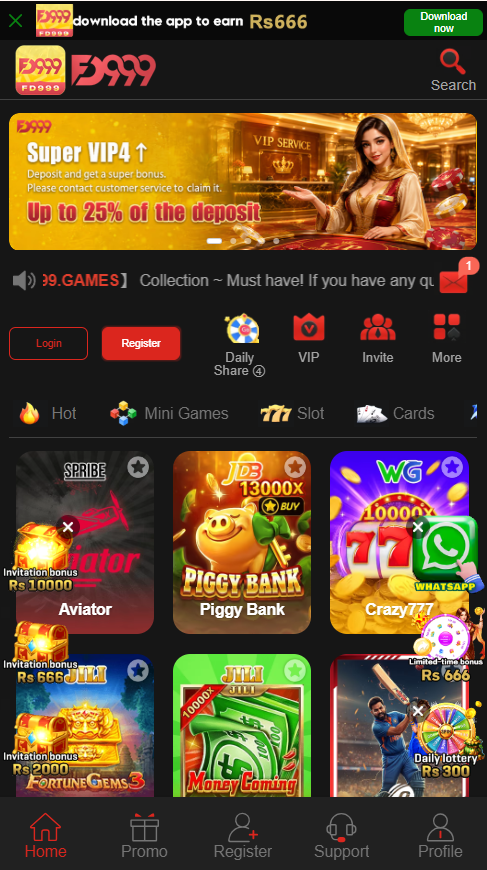 FD999 Game